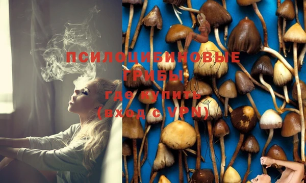 марки lsd Белокуриха