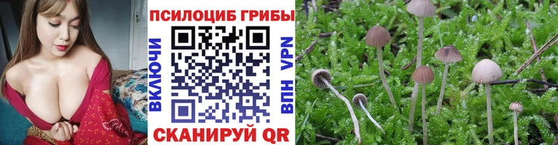дарнет шоп  Воркута  Псилоцибиновые грибы мухоморы 